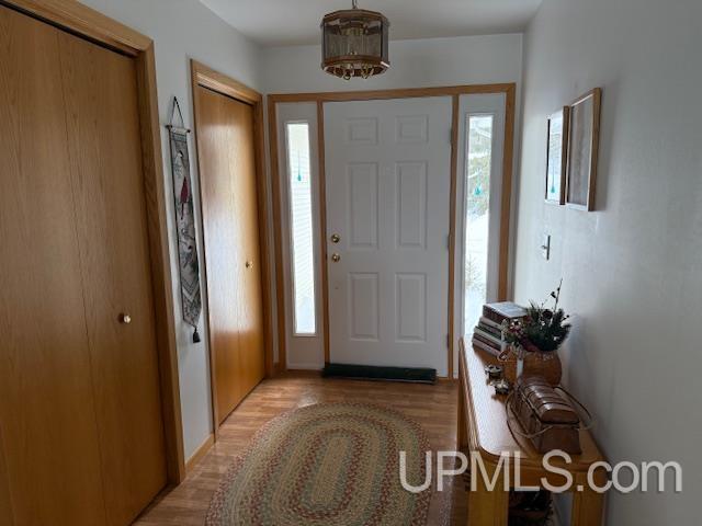 entrance foyer featuring light wood-type flooring