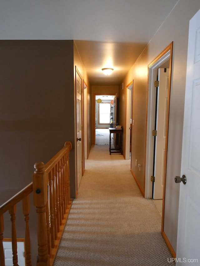 hall featuring light carpet