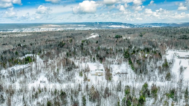 snowy aerial view featuring a mountain view