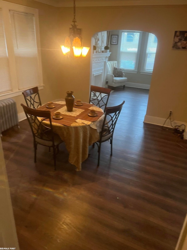 dining area with dark hardwood / wood-style flooring, radiator, and a chandelier