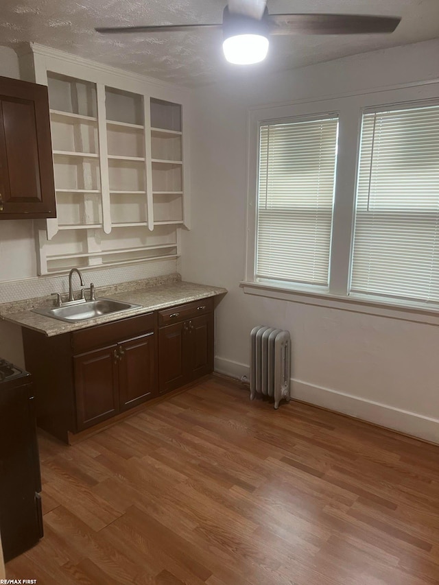 kitchen featuring hardwood / wood-style flooring, dark brown cabinetry, radiator, and sink