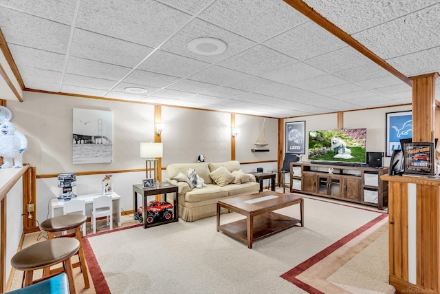 living room featuring crown molding, a paneled ceiling, and carpet