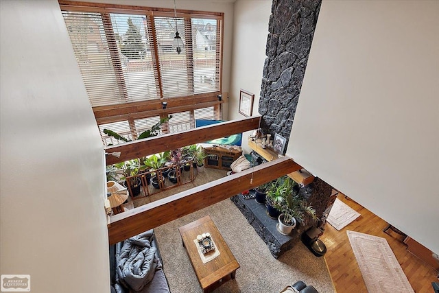 living room with wood finished floors