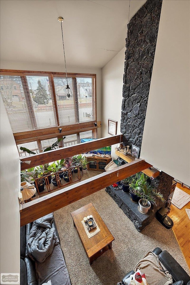 living area featuring lofted ceiling and wood finished floors