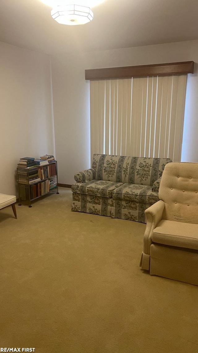 unfurnished living room featuring carpet floors