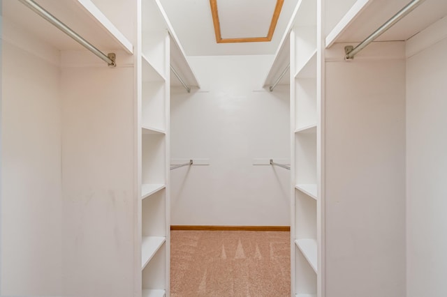 spacious closet with light colored carpet