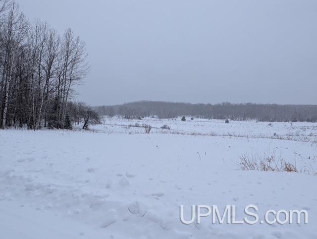 TBD Mill Pond Rd, Trout Creek MI, 49967 land for sale