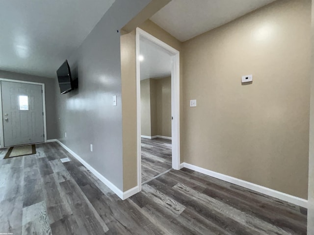 foyer with dark wood-type flooring