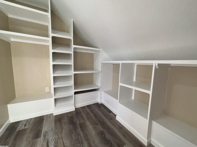 spacious closet with dark hardwood / wood-style flooring and vaulted ceiling