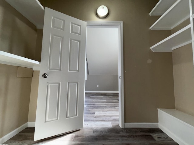 spacious closet featuring dark hardwood / wood-style flooring