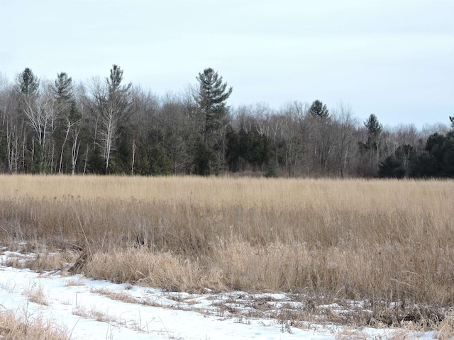 view of local wilderness