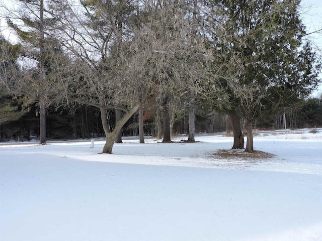 view of yard layered in snow