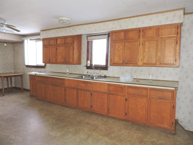 kitchen featuring plenty of natural light, sink, and ceiling fan