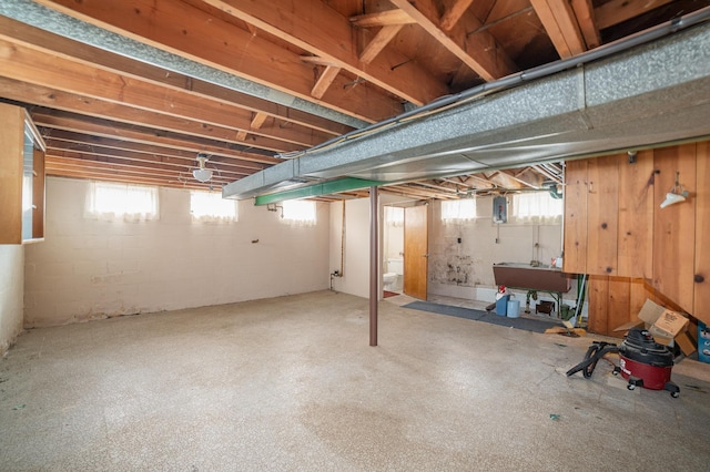 basement featuring plenty of natural light and sink