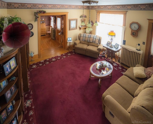 living room with radiator and hardwood / wood-style floors