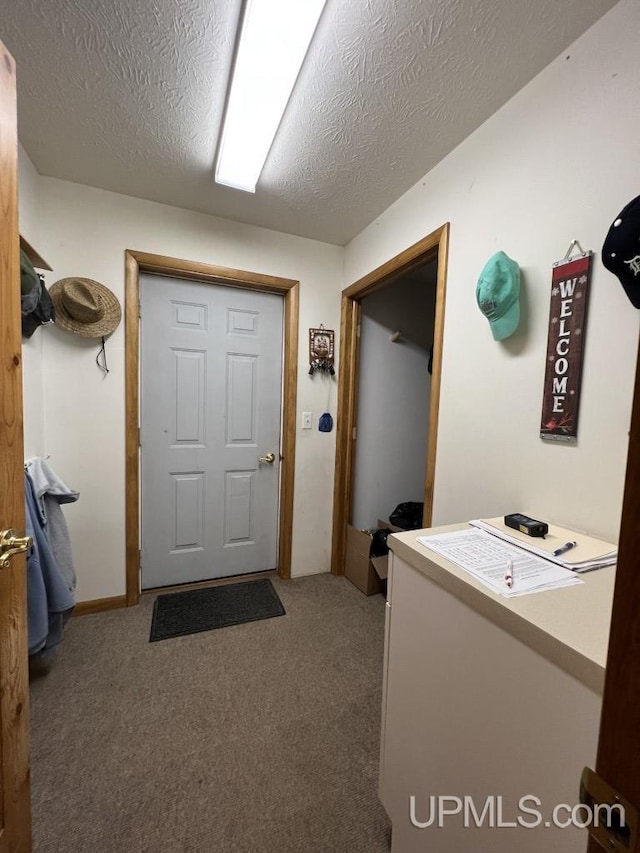 laundry area featuring carpet and a textured ceiling