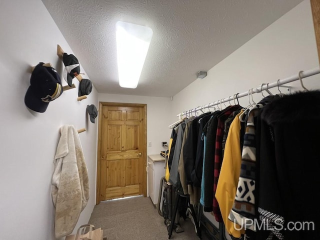 walk in closet with carpet
