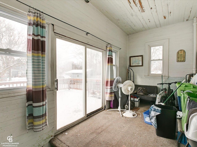 interior space featuring plenty of natural light, carpet, and wood ceiling