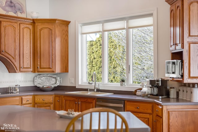 kitchen featuring tasteful backsplash, sink, and dishwasher