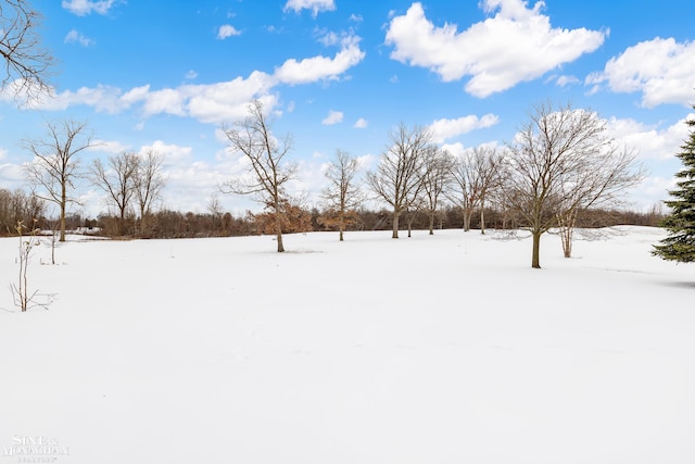 view of snowy yard