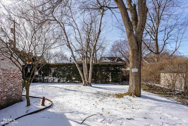 view of yard covered in snow