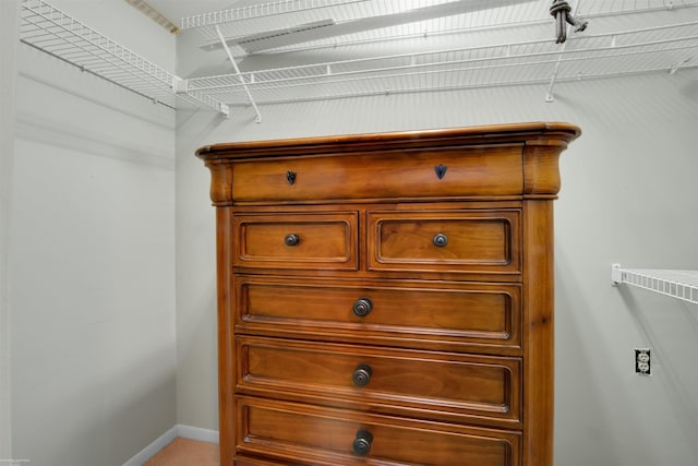 view of walk in closet