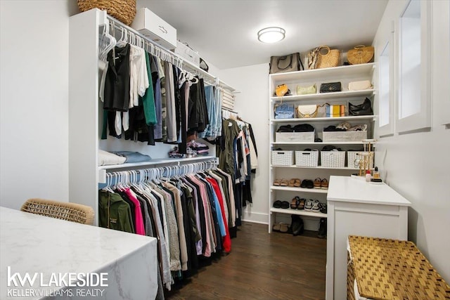 spacious closet featuring dark wood-type flooring