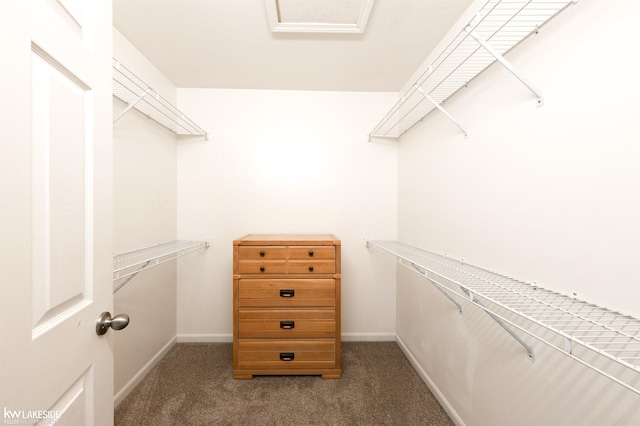 walk in closet featuring dark colored carpet