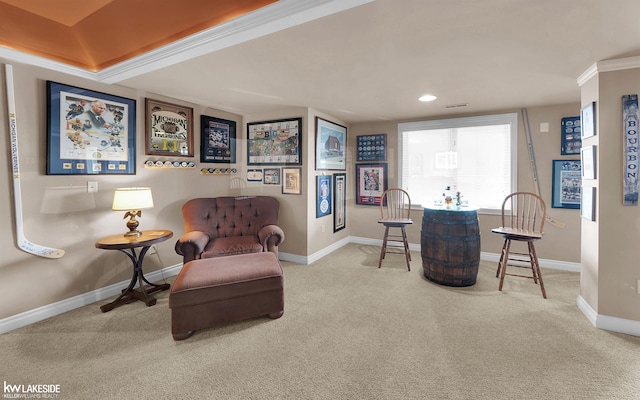 living area featuring crown molding, bar, and carpet flooring