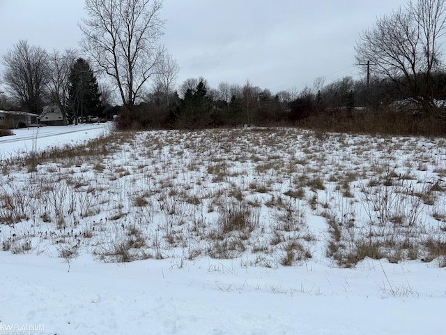 Dain Rd, Lexington MI, 48450 land for sale