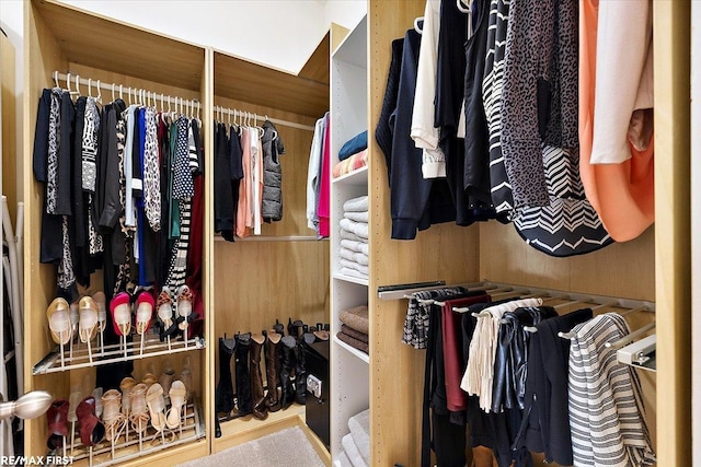 view of spacious closet