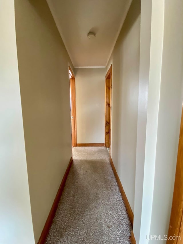 corridor featuring ornamental molding and light carpet