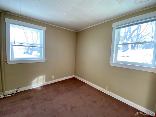 carpeted empty room with ornamental molding and a healthy amount of sunlight