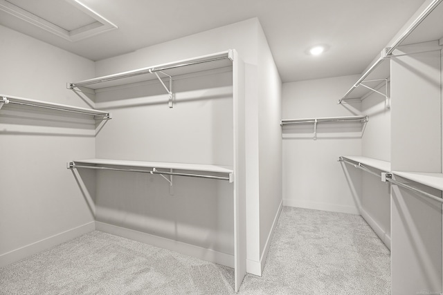 spacious closet featuring light colored carpet