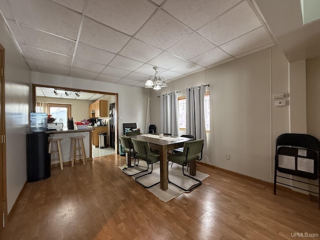 dining room featuring track lighting, a chandelier, light hardwood / wood-style flooring, and a drop ceiling