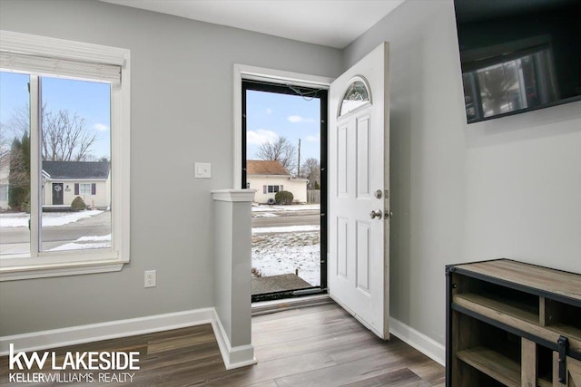 foyer featuring hardwood / wood-style floors and a healthy amount of sunlight