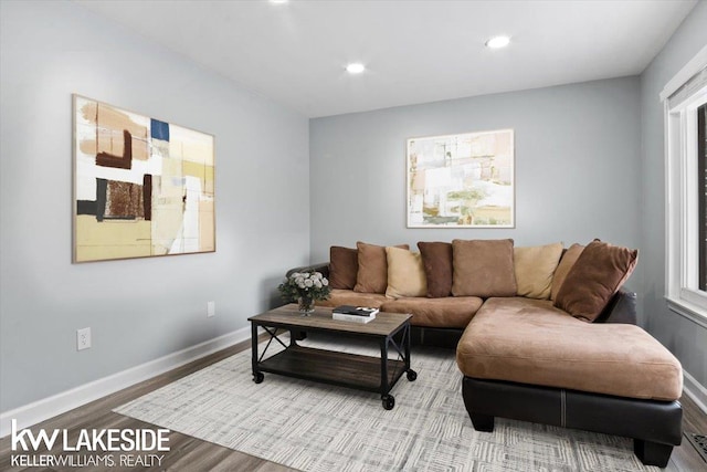 living room featuring hardwood / wood-style flooring