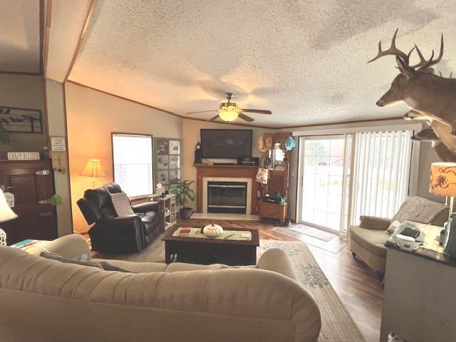 living room featuring vaulted ceiling, plenty of natural light, a textured ceiling, and ceiling fan