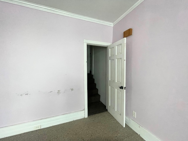 unfurnished room with ornamental molding and carpet