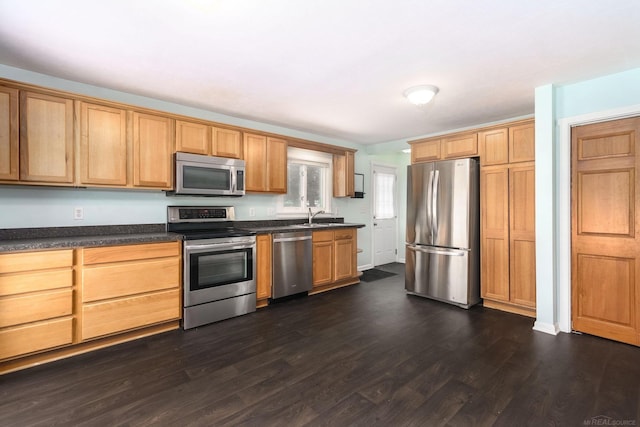 kitchen featuring appliances with stainless steel finishes, dark hardwood / wood-style floors, and sink