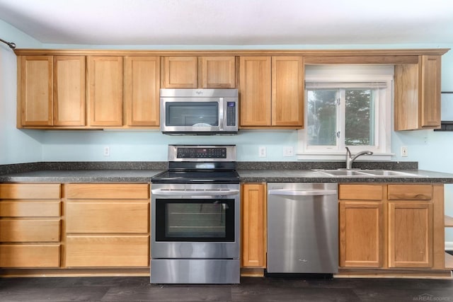 kitchen with dark hardwood / wood-style flooring, sink, and appliances with stainless steel finishes