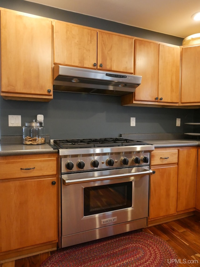 kitchen with dark wood-type flooring and high end stove