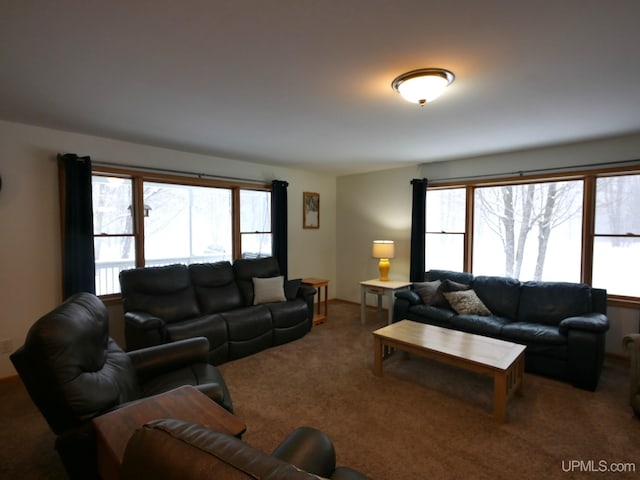 living room with carpet flooring