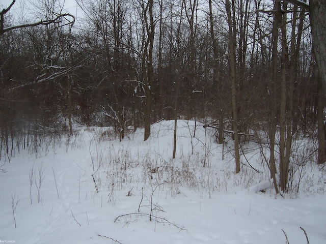 00 Kilgore Rd, Avoca MI, 48006 land for sale