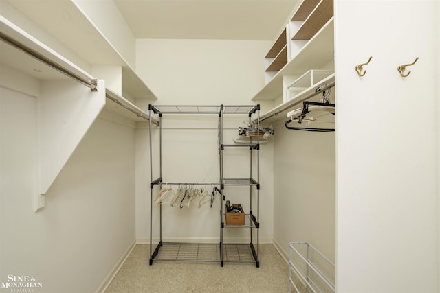 view of spacious closet