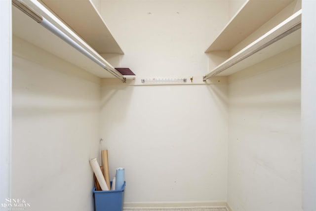 view of spacious closet