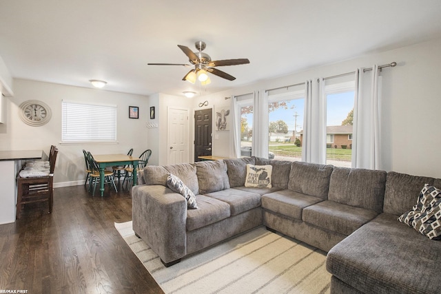 living room with ceiling fan, a wealth of natural light, and dark hardwood / wood-style flooring