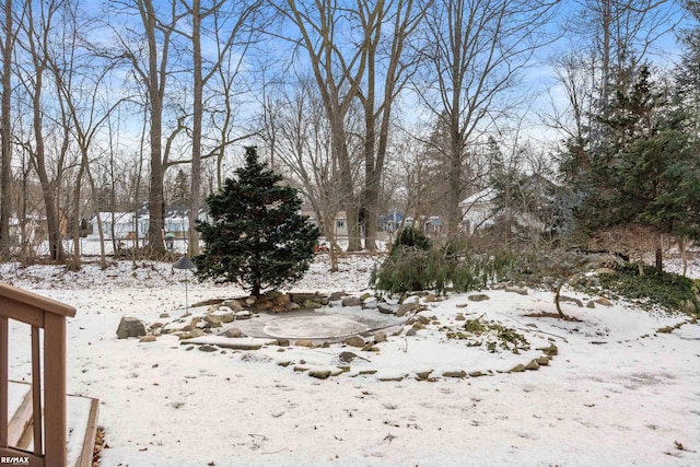 view of yard layered in snow