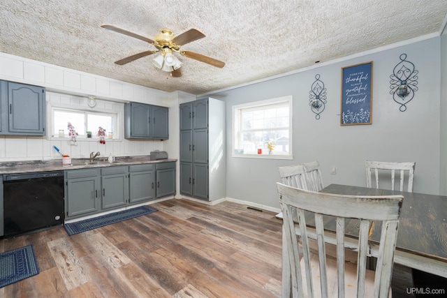 kitchen with a textured ceiling, dark wood-type flooring, plenty of natural light, and dishwasher