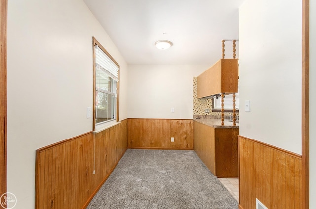 carpeted empty room featuring wood walls